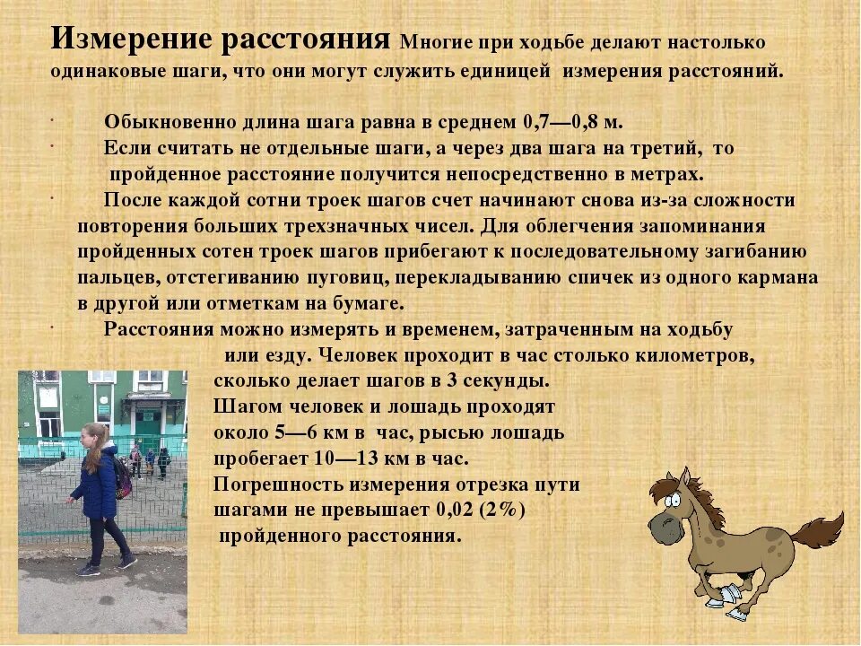 Сколько в 1 км шагов при ходьбе