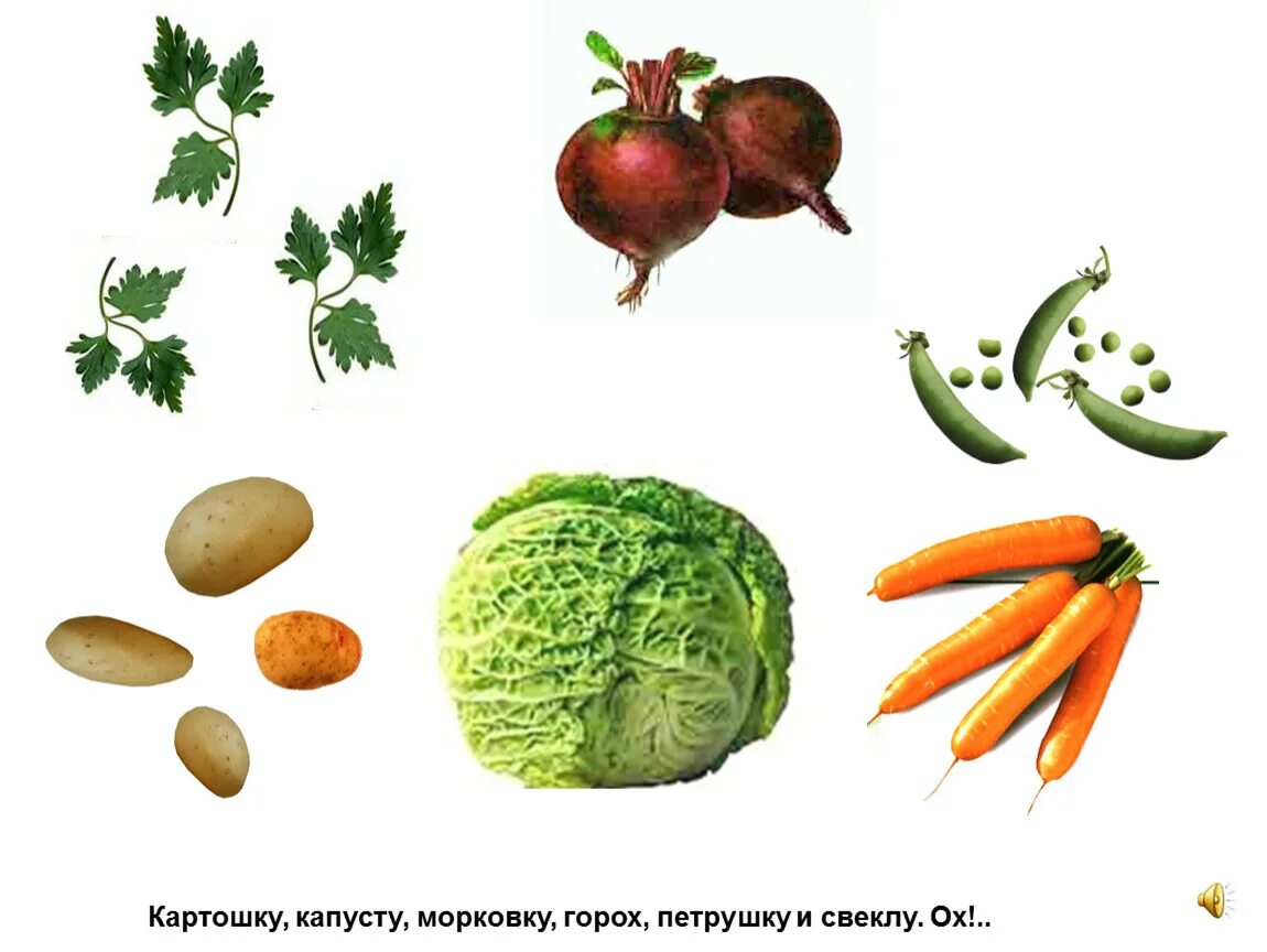 Картошку морковку горох петрушку свеклу