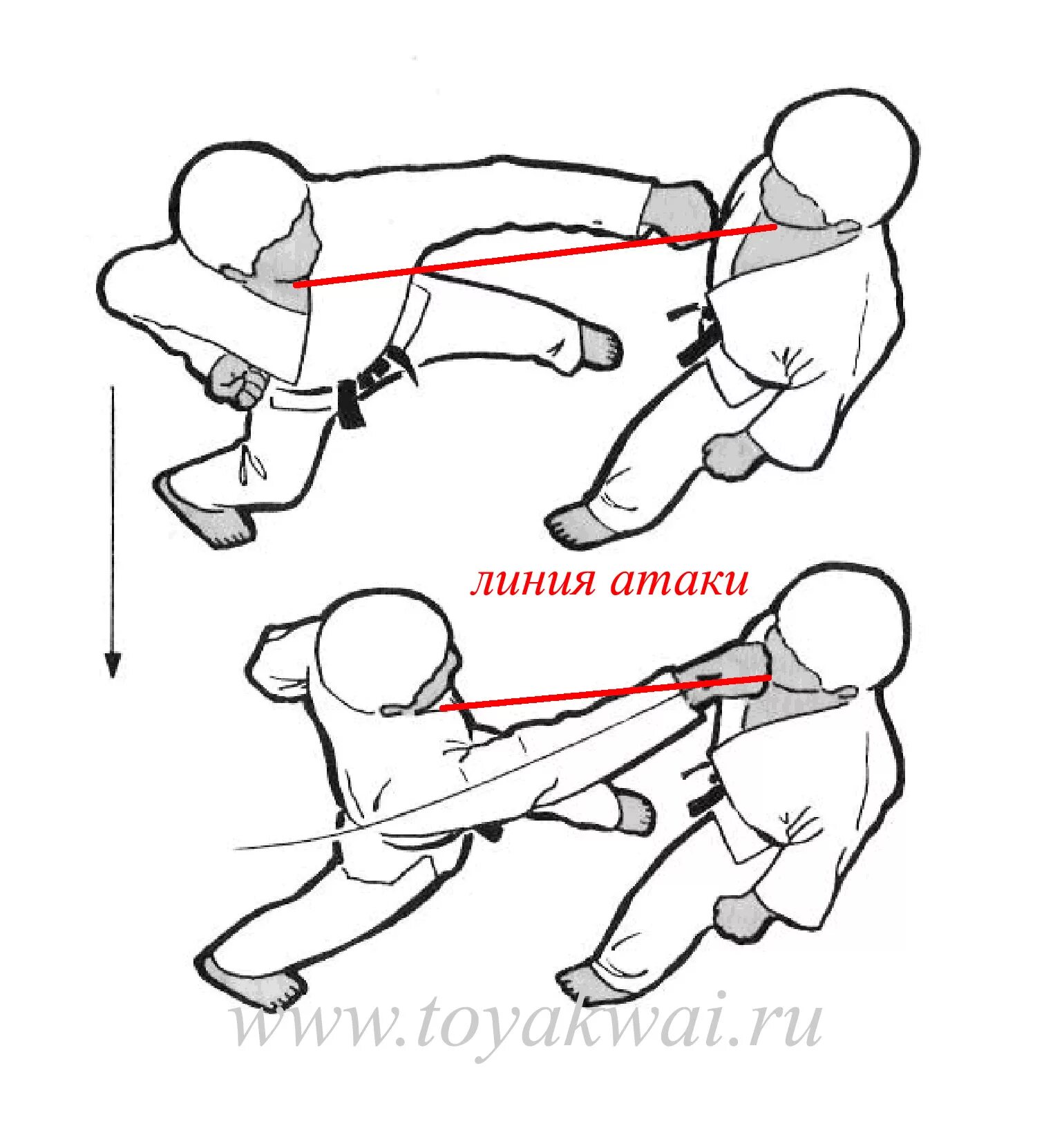 Линия нападения. Как научиться драца. Как правильно драться. Учиться драться. Научиться драться в домашних.
