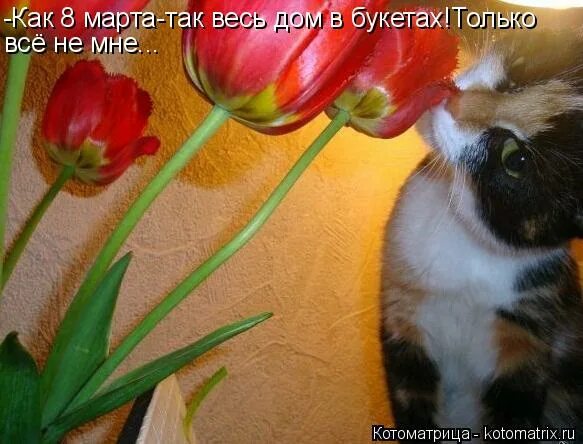 Букет для мужчины. Он принес цветы. Он принес цветы. Он принес цветы. Прекрасной женщине цветы.