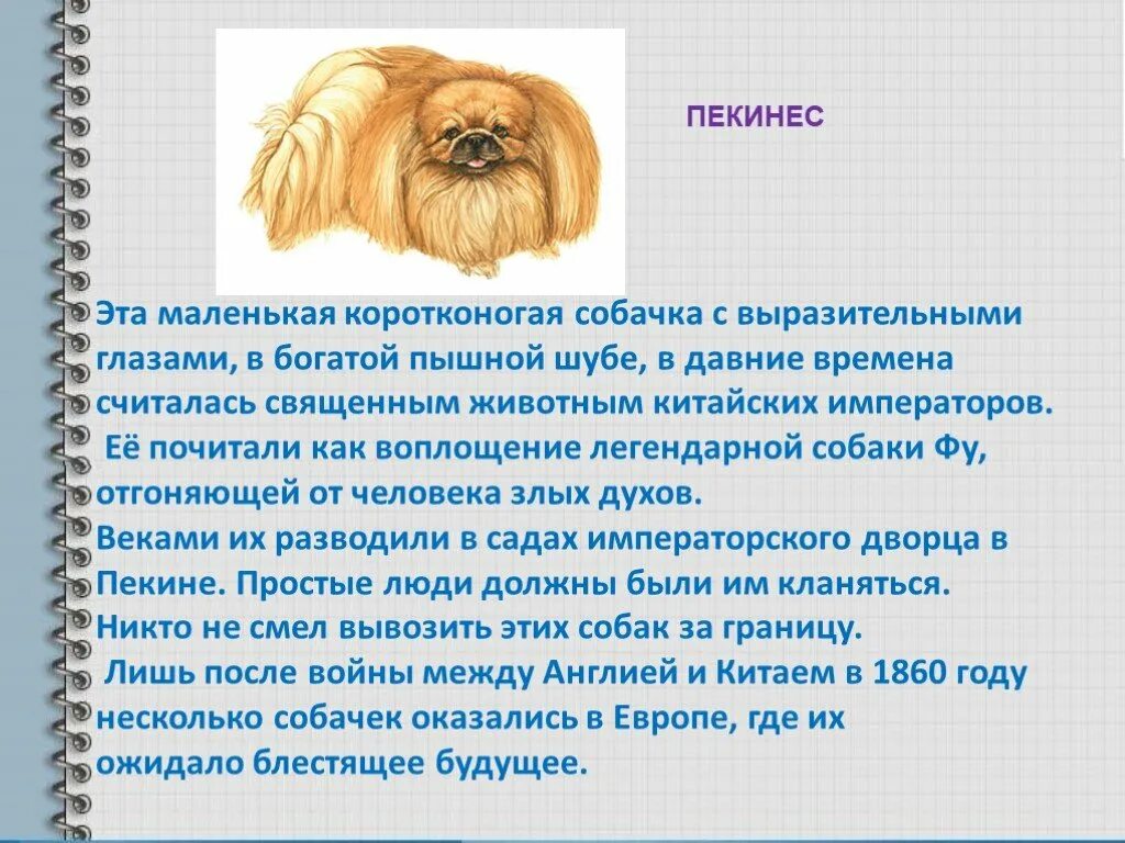 В императорском саду живет собака глава 6