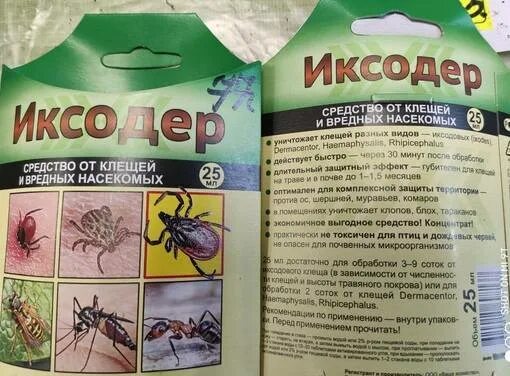 Почему необходимо бороться с комарами и клещами
