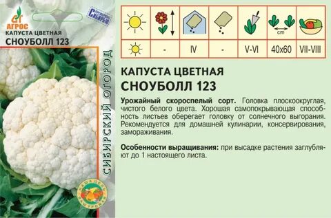 Капуста цветная сноуболл 123 отзывы описание