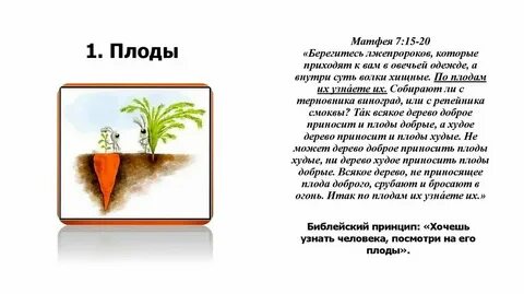 Библия стих 20 глава 20