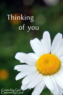 I of you