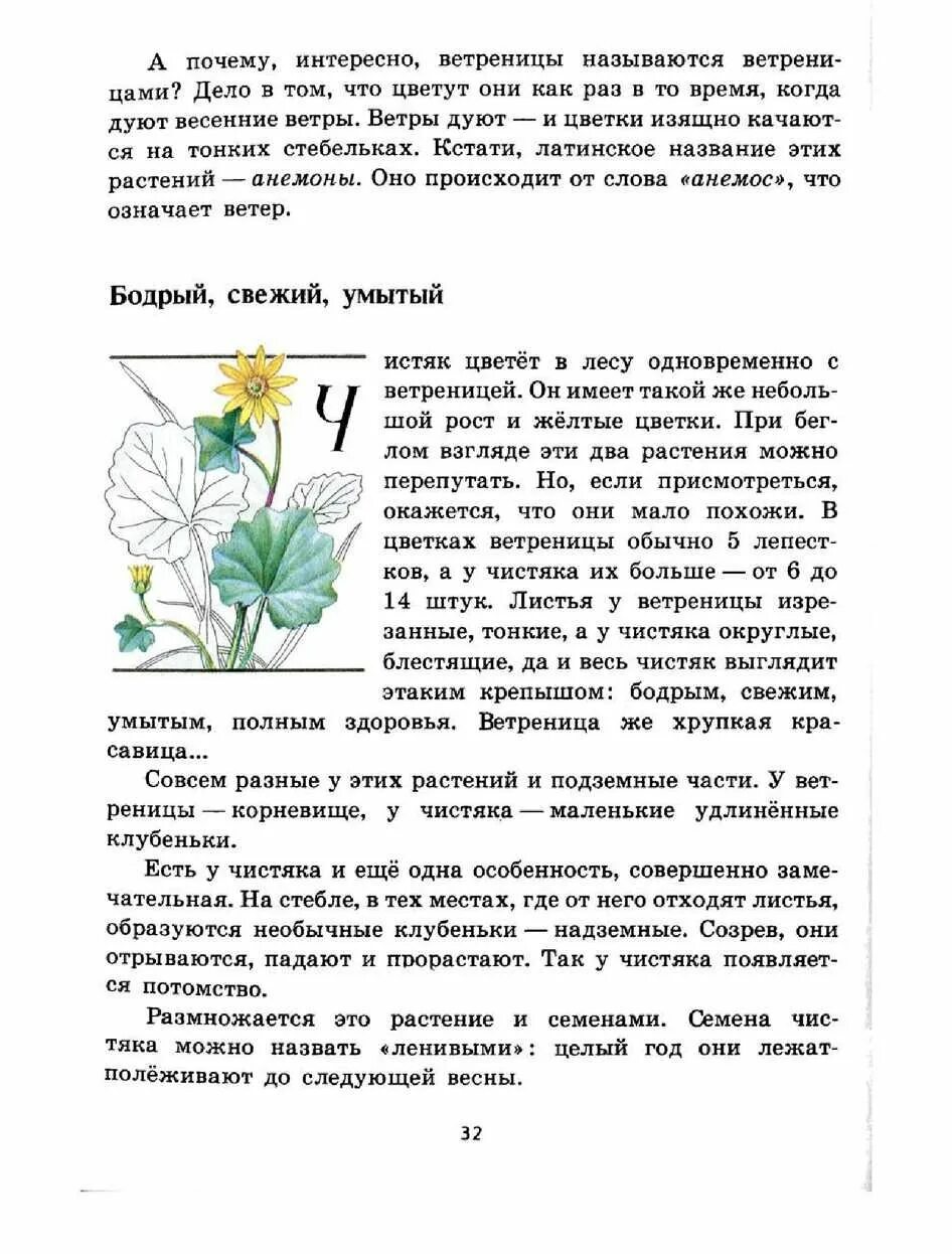 Зеленые страницы 2 класс солнышко. Книга зеленые страницы чистяк весенний. в книге зеленые страницы растение чистяк весенний. зеленые страницы плешаков чистяк весенний. книга зелёные страницы 2 класс.
