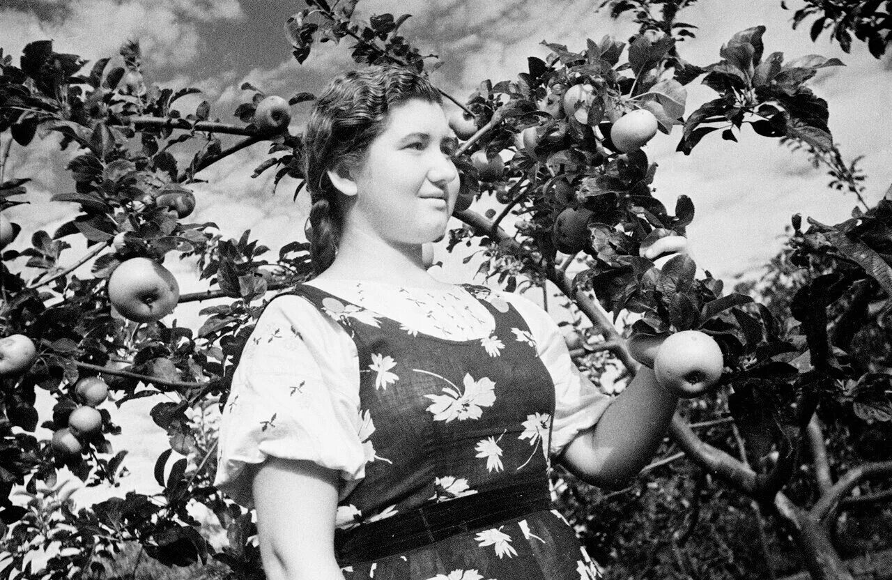 советская женщина в платке. советские женщины деревня. советские женщины деревня. советская крестьянка. ссср 70е деревня.