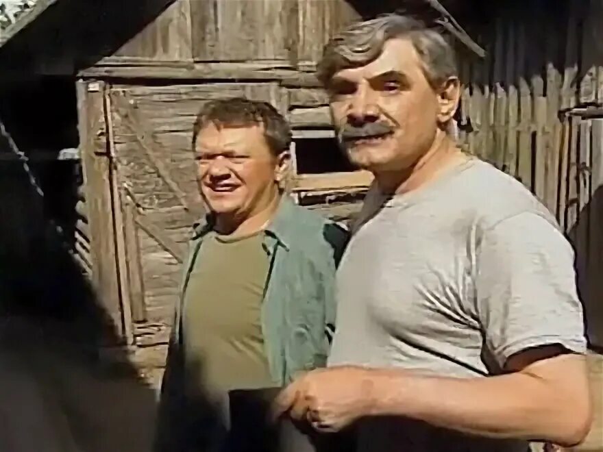 Полет аиста над капустным полем. Полет аиста над капустным полем. Полет аиста над капустным полем 2004. Постер фильм полет аиста над капустным полем. Анна хилькевич в фильме полет аиста над капустным полем.