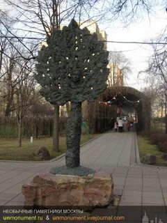Древо москва