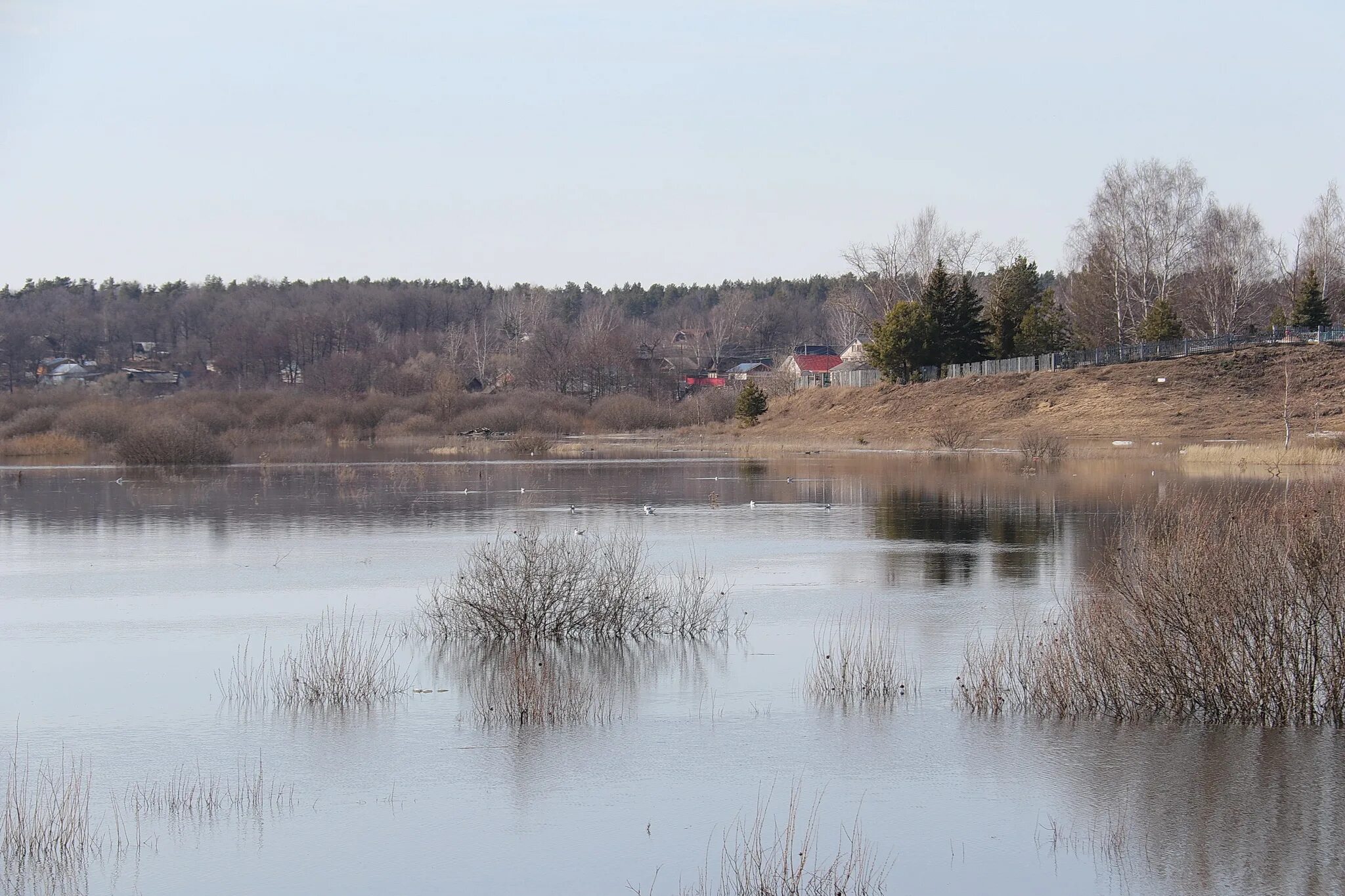 Уровень суры алатырь. Алатырь река Смольный. Алатарь речка Алатырь Мордовия. Река Сура Алатырь. Разлив реки Алатырь.