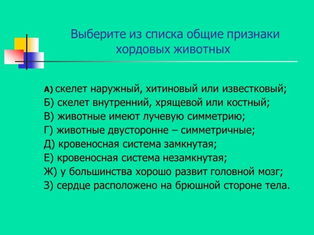 Особенности строения внутреннего скелета и наружного. Рыба меч особенности внешнего строения связанные со средой обитания.