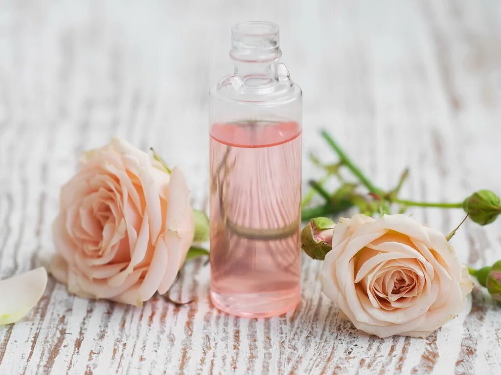Запах розового масла. Розы маслом. Розовая вода. Розовая вода и эфирные масла.