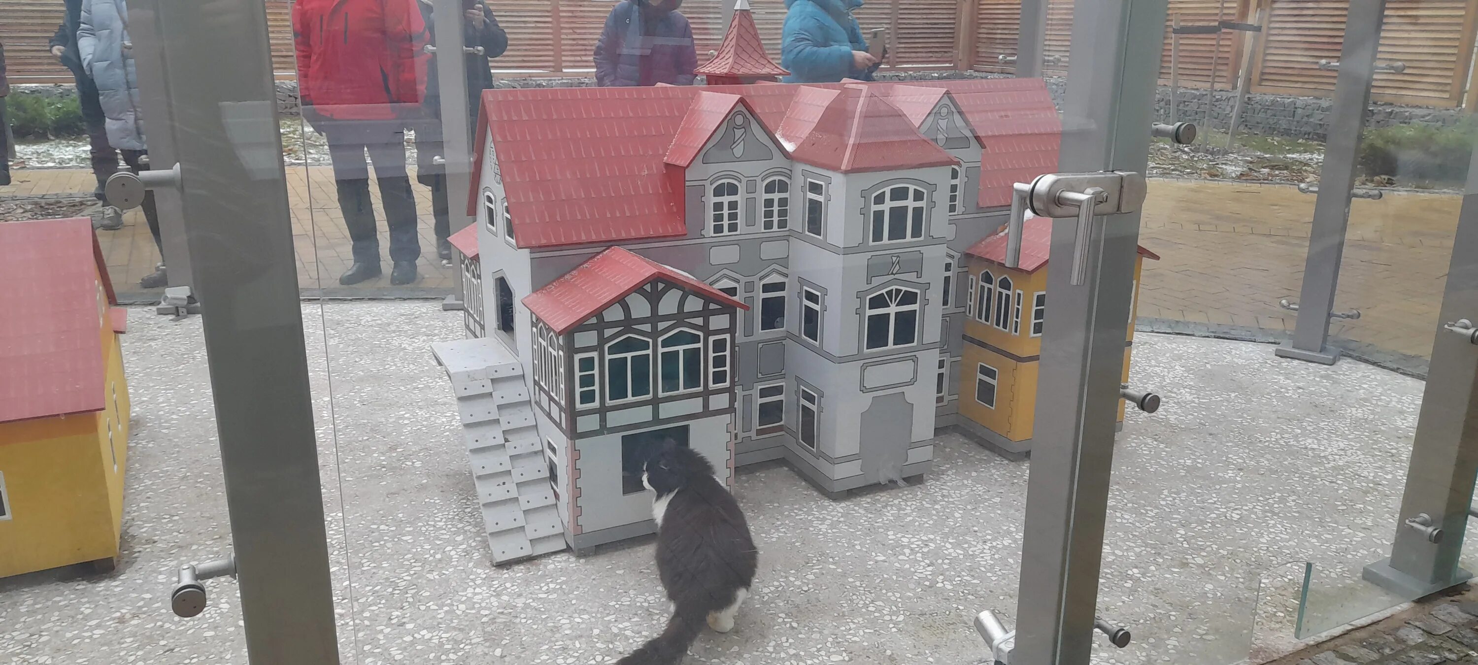 Кошкин дом зеленоградск. Кошачья улица в зеленоградске. зеленоградск домики для кошек. зеленоградск кошачьи домики. зеленоградск улица кошек.