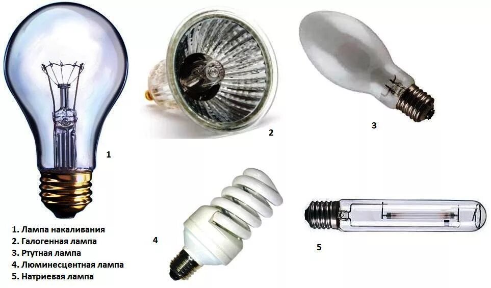 Заменить лампы накаливания на светодиодные. Формы ламп накаливания. Лампа накаливания люминесцентная. Название ламп. Обычная лампа накаливания.
