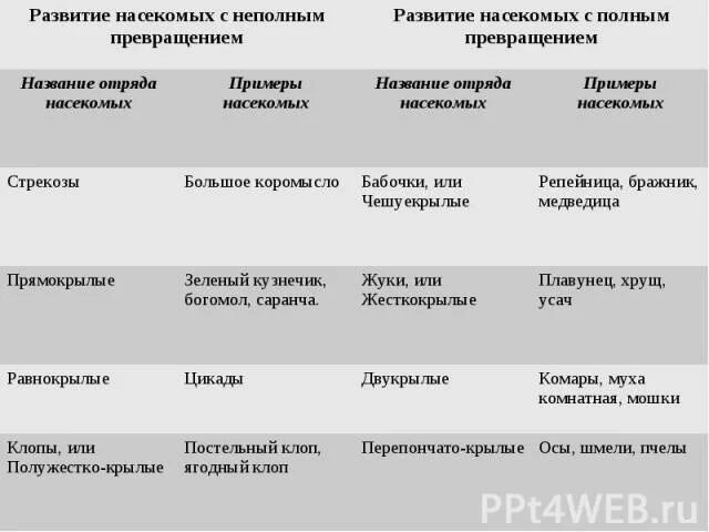 Полное превращение насекомых таблица. Развитие с полным и неполным превращением таблица. Развитие насекомых с полным и неполным превращением отряды. Отряды насекомых с неполным превращением 7 класс. Развитие насекомых с полным и неполным превращением таблица.