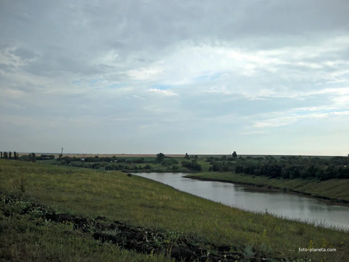 Рыбное хозяйство. Смоленский рыбхоз десногорск. Рыбхоз варваровка алексеевский. Щекинское водохранилище. Рыбхоз курск.