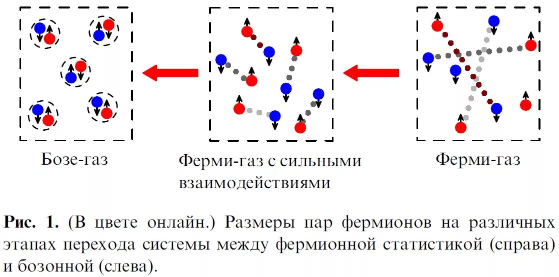 Модель ферми газа. Ферми ГАЗ И бозе ГАЗ. Двумерный ферми ГАЗ. Модель ферми газа для ядра.