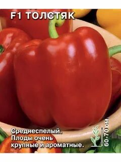 Перец знатный толстяк