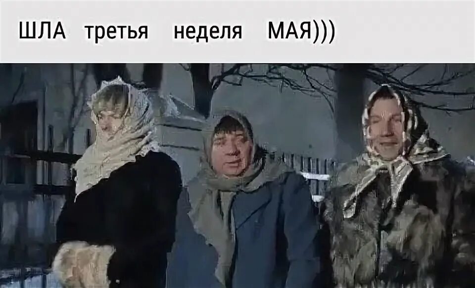 Пошла 3. Пошла третья неделя. шла третья неделя мая. картинки шла третья неделя мая. шла третья неделя мая мы от радости.