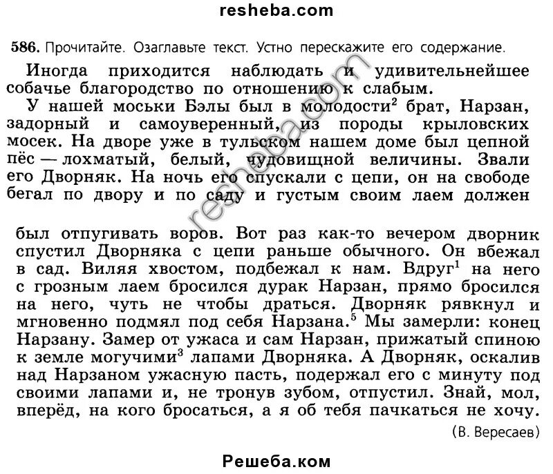 Изложение 7 класс. Изложение 5 класс. Изложение 6 класс по русскому. Изложение 6 класс по русскому языку. Изложение тедди