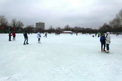Каток ботанический