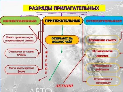Круглые качественное прилагательное