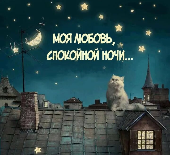 Можно ли желать спокойной. Пожелания спокойной ночи. открытки спокойной ночи. пожелания спокойной ночи любимому. картинки спокойной ночи любимому.