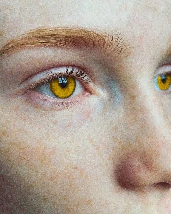Желтый глаз 14. Янтарные глаза. Желтые глаза. Жёлтые глаза у человека. Янтарный цвет глаз.