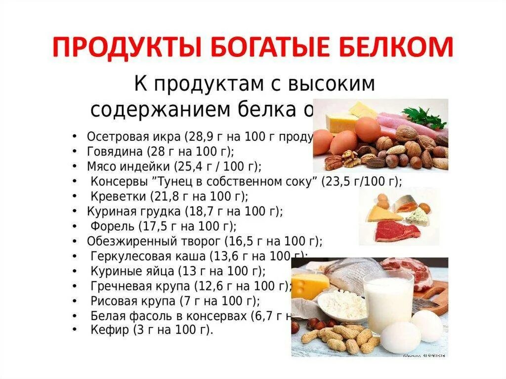 Как набрать норму белков. Продукты белки список продуктов. Белок это какие продукты список продуктов. Продукты богатые белком список. Продукты питания с высоким содержанием белка.