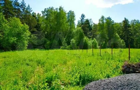 купить участок