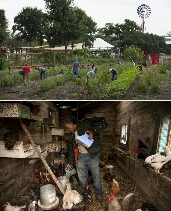 Village community. Деревня жителей. Деревенские жители. Комьюнити деревня.