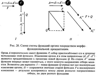 Смена функций
