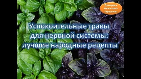 Успокоить нервы травами