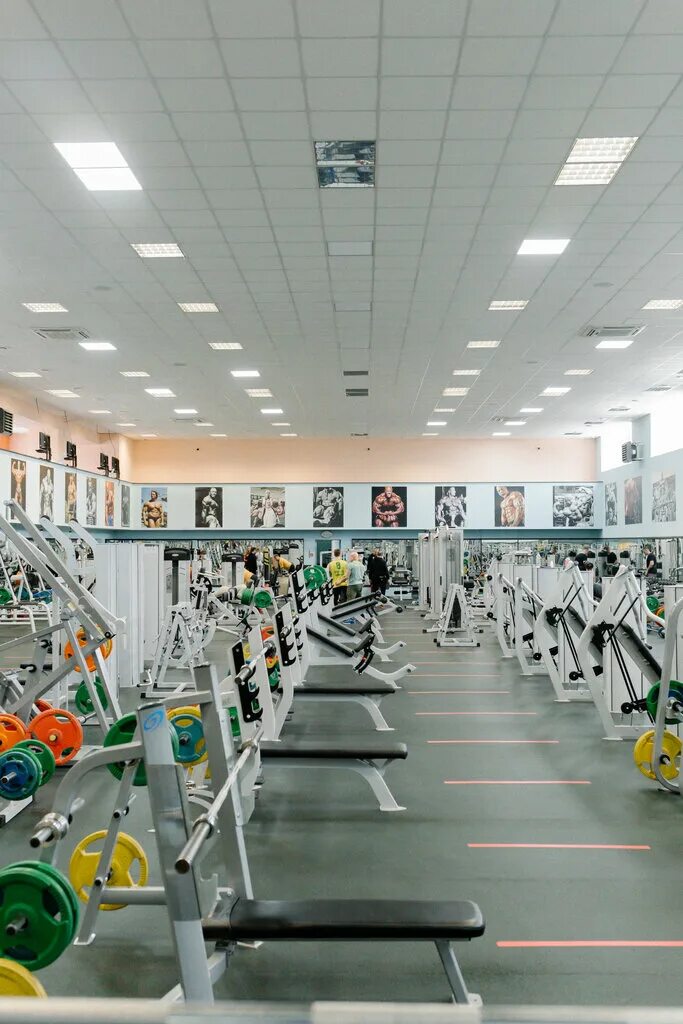 аполлон спортзал. аполлон красноярск водопьянова. аполлон зал красноярск водопьянова. аполлон зал красноярск водопьянова. аполлон зал воронеж.