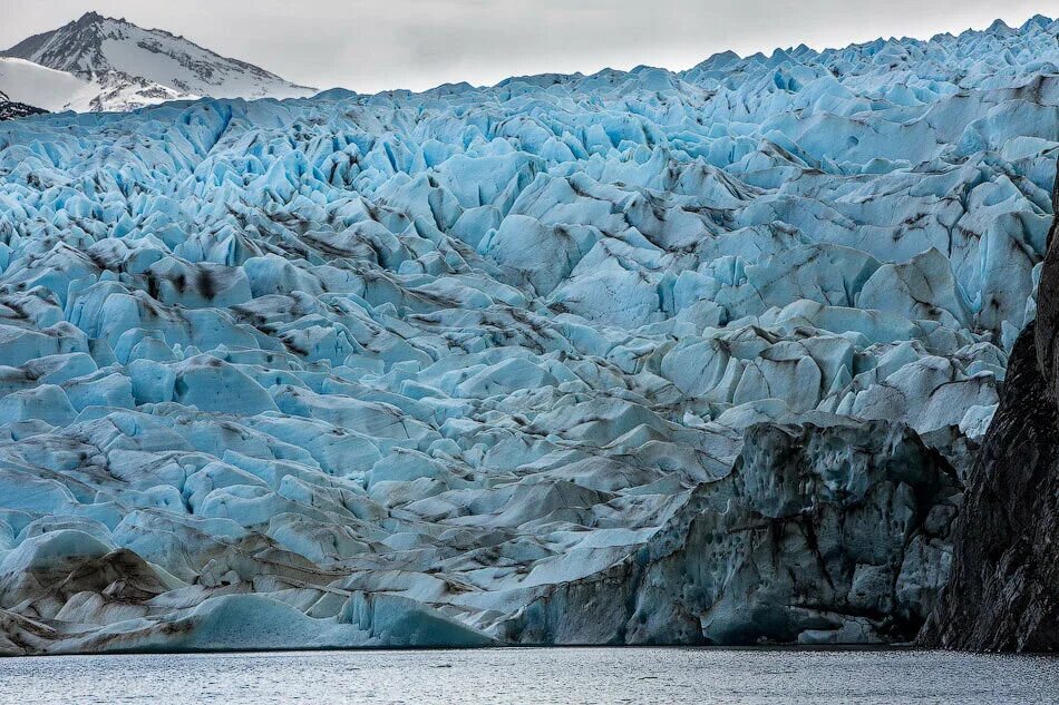 Grey glacier