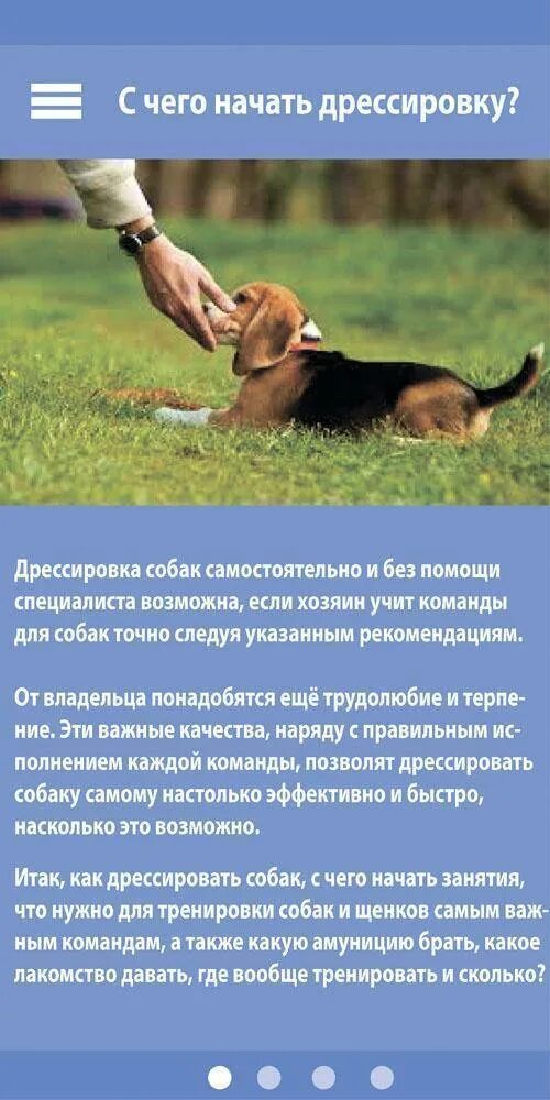 Как учить собаку