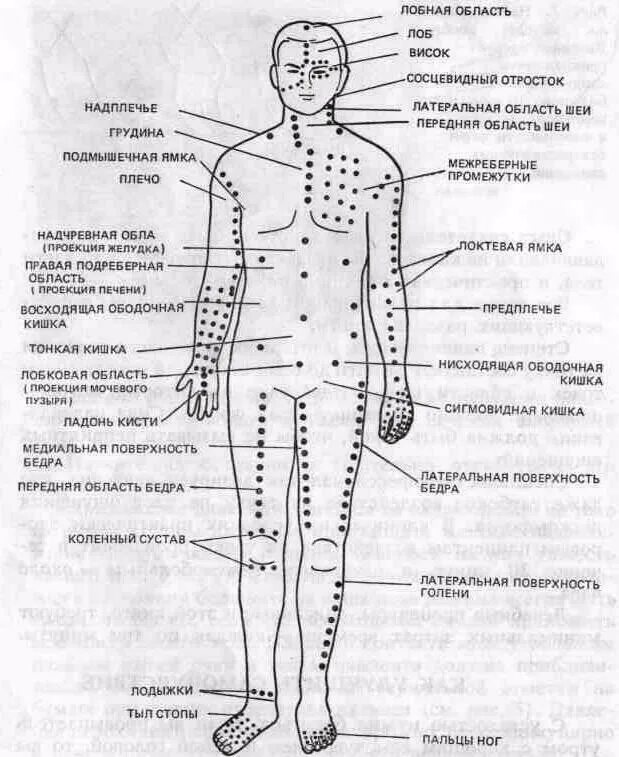 Названия точек человека. Точки тела человека для массажа. Шиацу точки схемы. Биологически активные точки на теле человека для массажа. Точечный массаж схема.