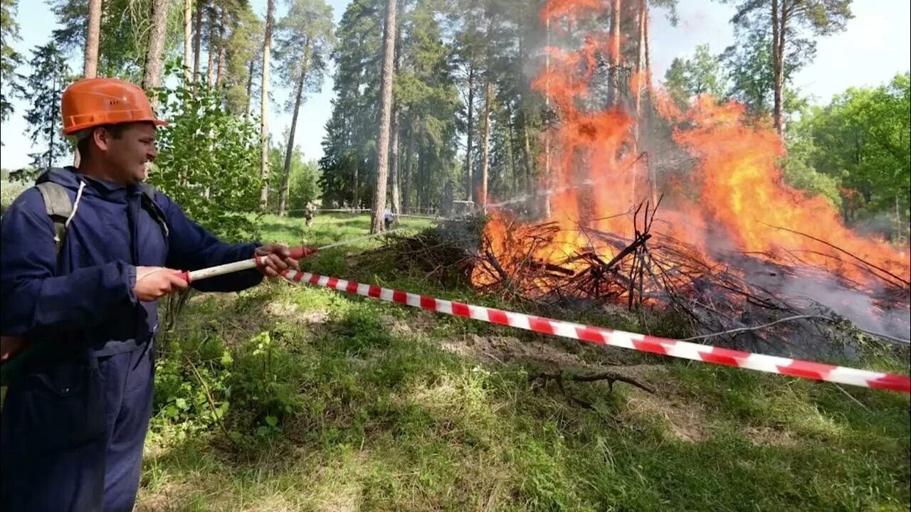 Безопасность лесных пожаров. Противопожарных мерах в лесничествах. Тушение и предотвращение пожаров. Штаб тушения лесного пожара.