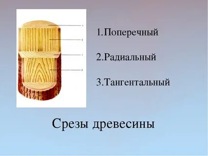 Тангенциально это