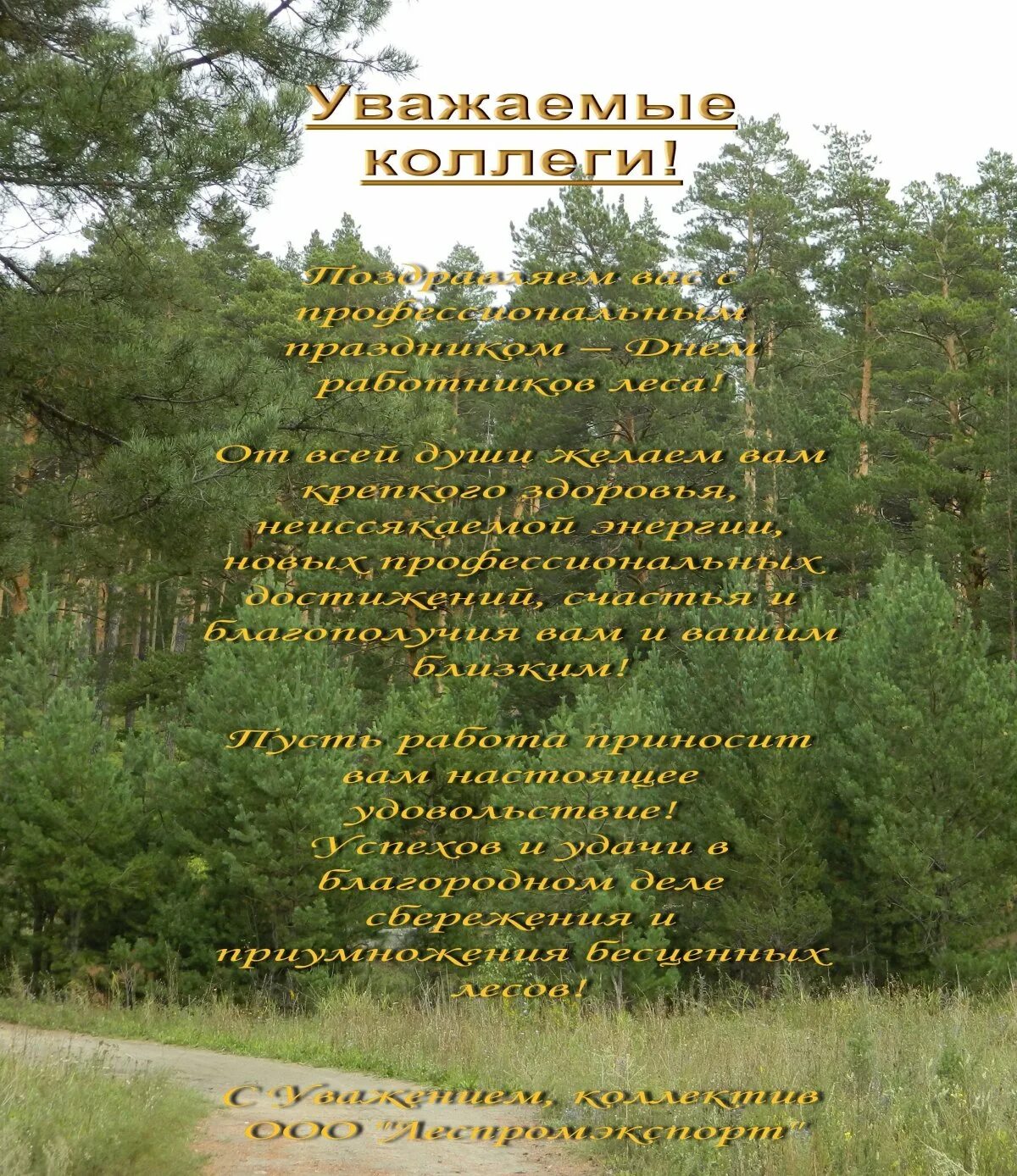 Поздравление работников леса. Поздравление лесе с днем рождения. С днем работника леса. Поздравление с днем лесника. Православные поздравлени с днём рождения.