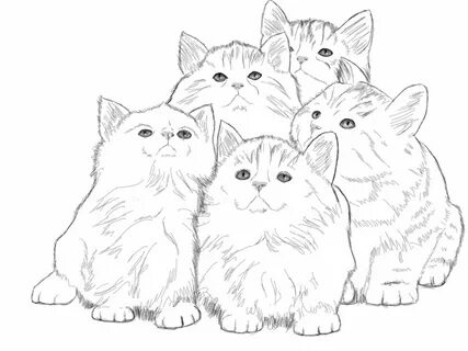 Нарисовать 5 котят