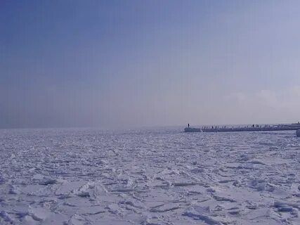 Какое море нашей страны не замерзает
