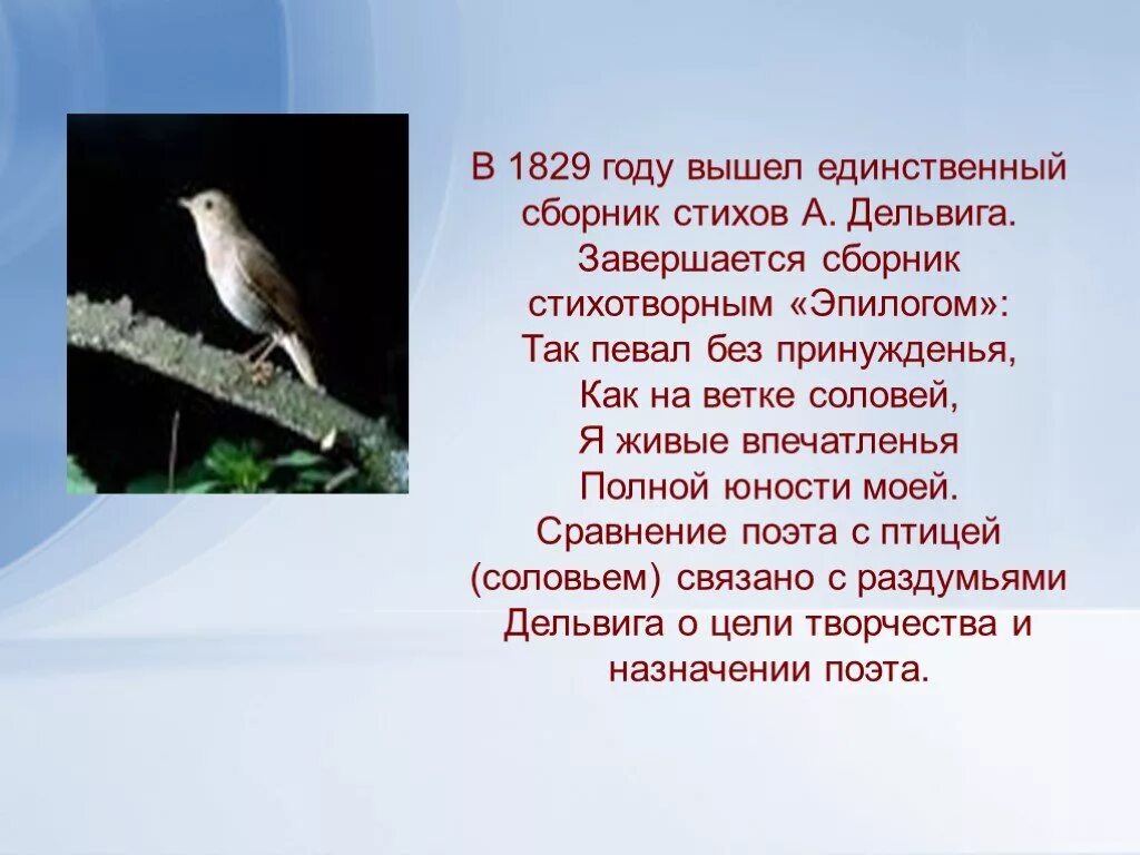 Литература стихотворение соловей. Стихи про соловья русских поэтов. Соловей презентация. Соловей описание. Соловьи стих.