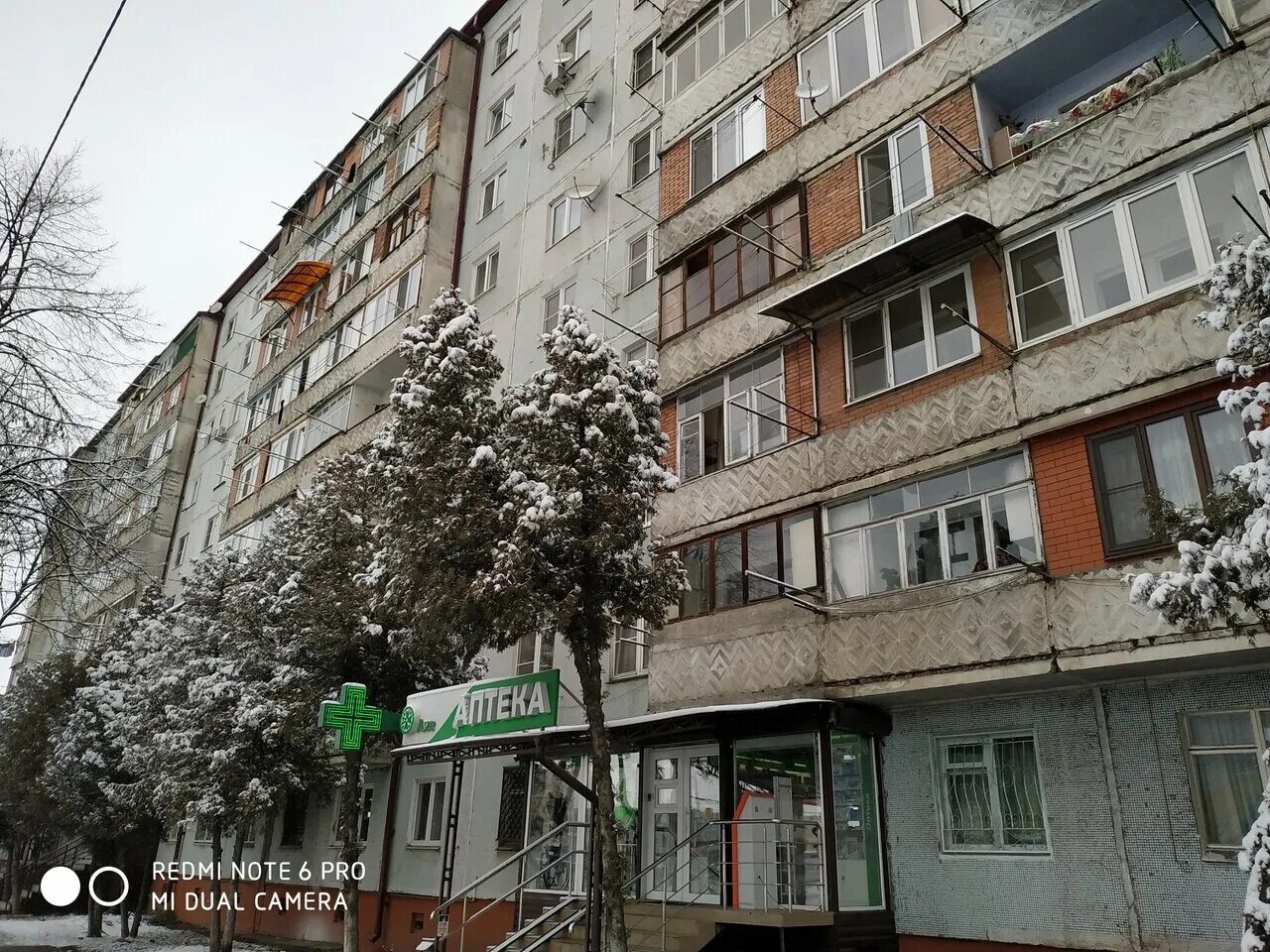 цоколаева 16 аптека малина. владикавказ 16. владикавказ 16. гимназия вахтангова владикавказ. горско пушкинское общежитие владикавказ.