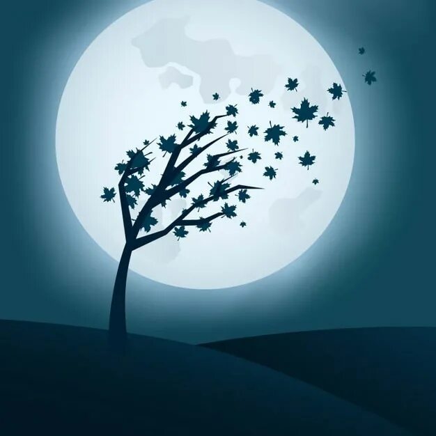 В круг дерева ночи. Ночь Луна дерево. Дерево вектор. Дерево ночью рисунок. Дерево Графика.