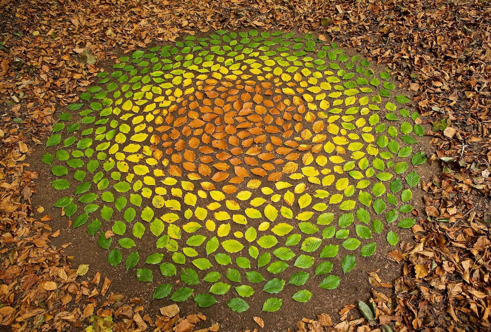 Natural objects