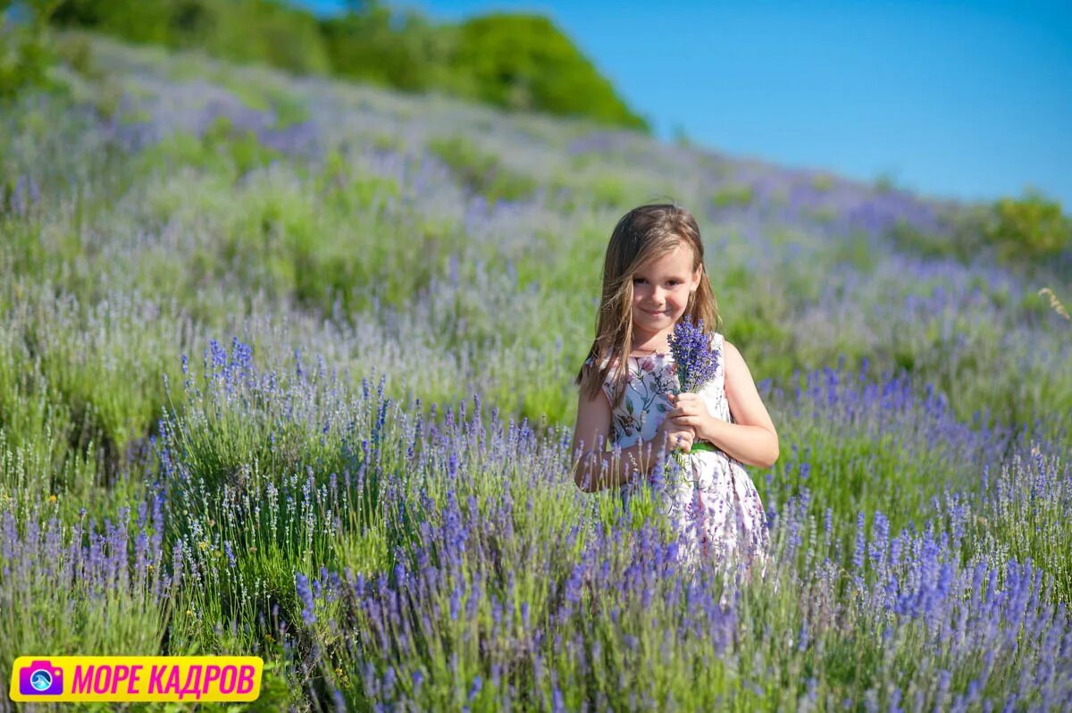 Песня а где то в крыму девочка. Лавандовые поля в алуште. фотосессия в лавандовом поле в крыму. лавандовые поля в крыму. фотосессия в лаванде идеи.