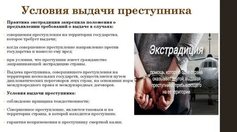 Правонарушитель в гражданском праве