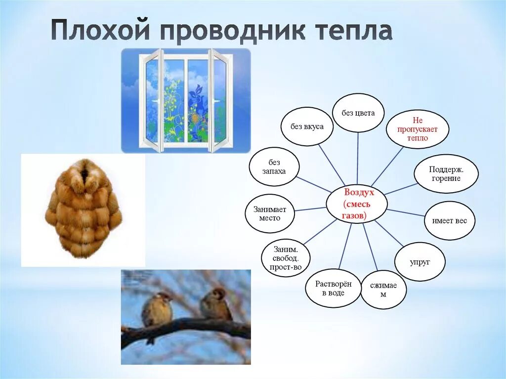 Воздух пропускает тепло. Воздух плохо проводит тепло. Воздух плохо проводит тепло опыт. Вода плохо проводит тепло рисунок. Хорошие и плохие проводники тепла.