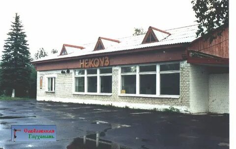 Рыбинск некоуз